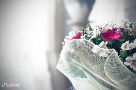 Tema del matrimonio “Alice nel paese delle meraviglie”… senza coniglio a (7) (FILEminimizer)