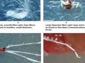 Scie chimiche morgellons
