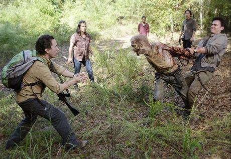 The Walking Dead - Stagione 5