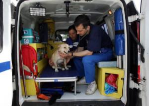 PADOVA - Arriva la prima ambulanza per gli animali