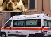 PADOVA Arriva prima ambulanza animali