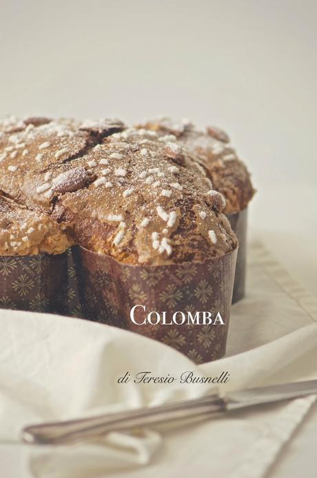 Colomba di Teresio Busnelli