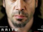 Remember Biutiful, Jack Reacher prova decisiva, Crash Contatto fisico