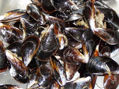 Zuppa di cozze: 7 trattorie a Napoli dove vale la pena gustarla