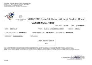 Daisy Jane Ezechielelupo, risultato test mielopatia degenerativa: “SANA” Risultato test mielopatia degenerativa Daisy Jane Ezechielelupo