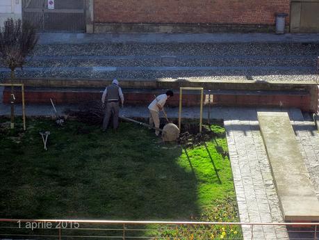 Una serie impressionante di foto ..... (immagini forti)