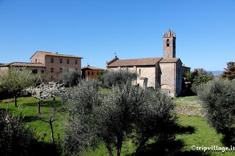 Week-end in Toscana tra i colli senesi