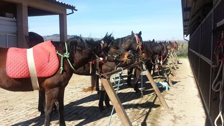 Week-end in Toscana tra i colli senesi