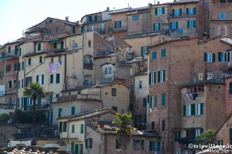 Week-end in Toscana tra i colli senesi