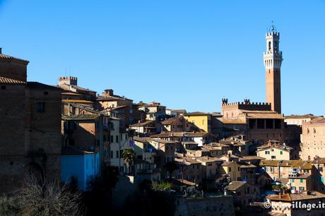 Week-end in Toscana tra i colli senesi