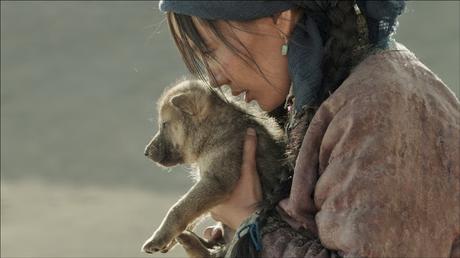 Le dernier loup di Jean-Jacques Annaud. 2015