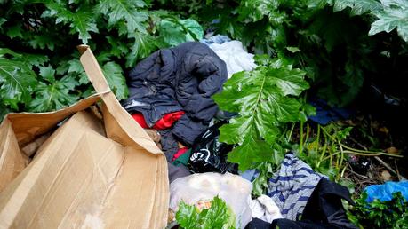 20 tragicomiche foto da Colle Oppio. Potrebbe essere il giardino più bello del mondo, è una discarica ributtante