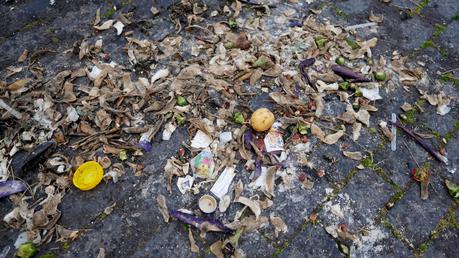 20 tragicomiche foto da Colle Oppio. Potrebbe essere il giardino più bello del mondo, è una discarica ributtante