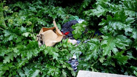 20 tragicomiche foto da Colle Oppio. Potrebbe essere il giardino più bello del mondo, è una discarica ributtante