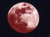 ECLISSI Luna Rossa