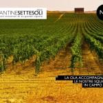 Cantine Settesoli