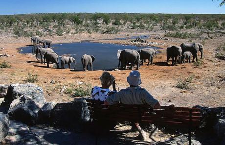 Memoria da elefante