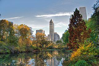 San Valentino: un motivo per volare a New York al Central Park