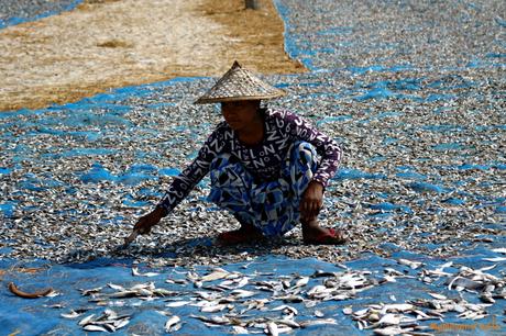 Birmania (Myanmar): bellezza e quiete a Ngapali Beach