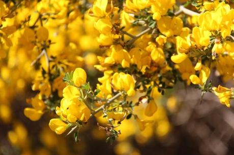 Menù di Pasquetta