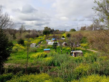 Sgomberato a metà marzo, tornato dieci giorni dopo. 15 pazzesche foto dal villaggio abusivo del Viadotto della Magliana: una storia che va avanti da anni, con costi enormi