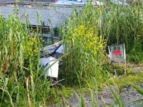 Ancora Magliana. Il nuovissimo e bellissimo parco lungo il Tevere circondato da un disastro ambientale. 12 foto da non perdere