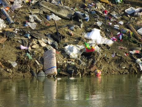 Ancora Magliana. Il nuovissimo e bellissimo parco lungo il Tevere circondato da un disastro ambientale. 12 foto da non perdere