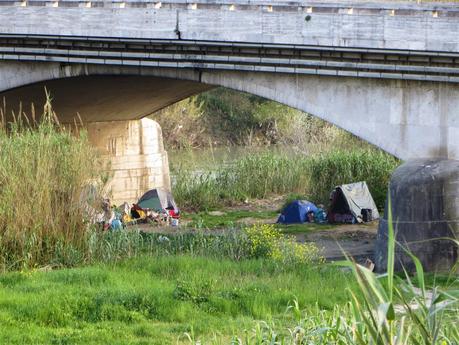 Ancora Magliana. Il nuovissimo e bellissimo parco lungo il Tevere circondato da un disastro ambientale. 12 foto da non perdere