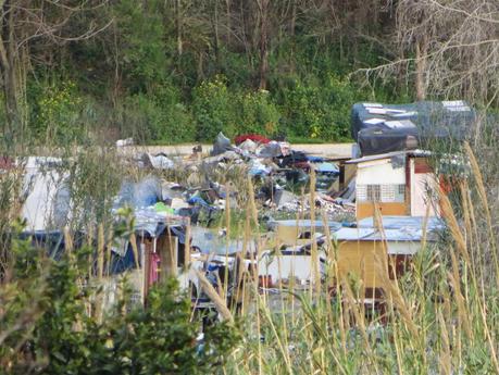 Ancora Magliana. Il nuovissimo e bellissimo parco lungo il Tevere circondato da un disastro ambientale. 12 foto da non perdere