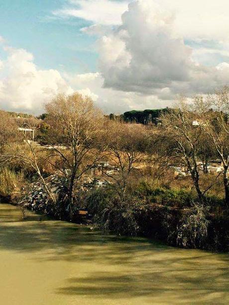 Ancora Magliana. Il nuovissimo e bellissimo parco lungo il Tevere circondato da un disastro ambientale. 12 foto da non perdere