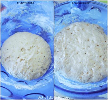 Colomba Biologica Farro E Cioccolato [Senza Lattosio]