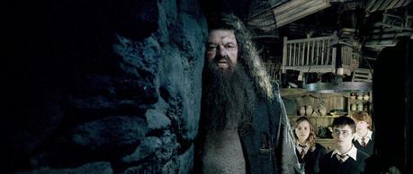 Harry Potter e l'Ordine della Fenice Harry Potter e l'Ordine della Fenice