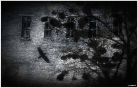 Delta E è uguale a 0 (6 Aprile 2009)