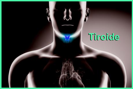 Human larynx anatomy