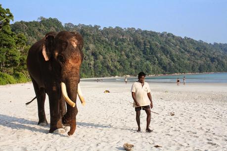 DIARIO DALLE ANDAMANE/ Snorkelling a Elephant Beach, ho visto Nemo!