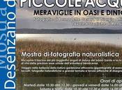 Grande Lago Piccole Acque Desenzano Garda