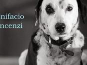 TESTIMONE CANE ALTRI RACCONTI Bonifacio Vincenzi