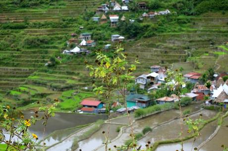 Filippine: la fiaba di Batad e delle sue terrazze di riso