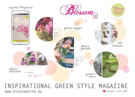 Blossom zine Summer issue800