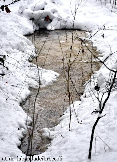 Candida come la neve (o quasi) la vellutata di finocchi e radice di prezzemolo