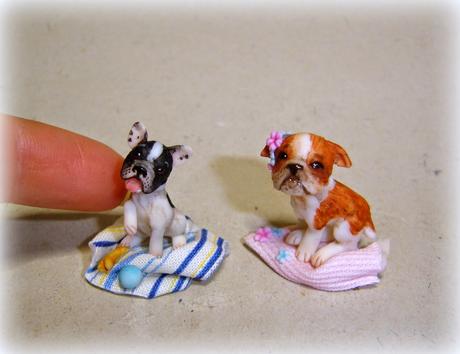 Bulldog in miniatura