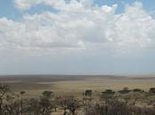 Sconfinato, magnetico, emozionante Serengeti