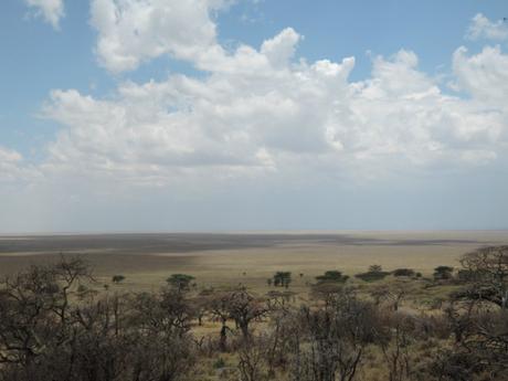 Sconfinato, magnetico, emozionante Serengeti