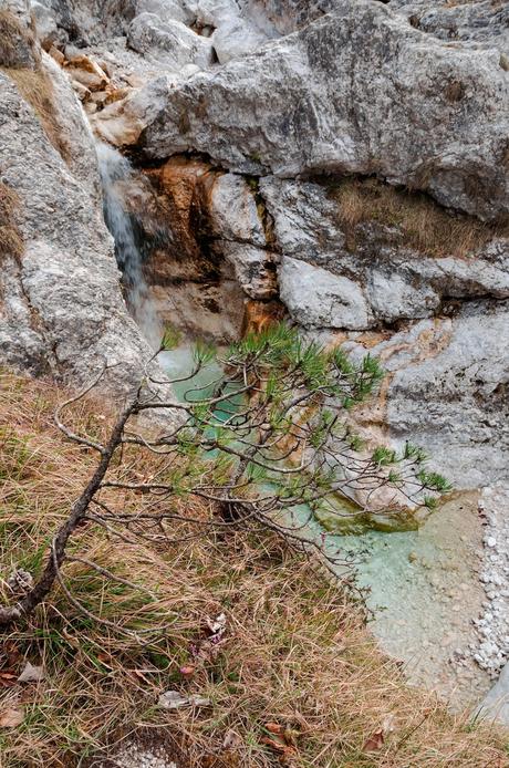 PASQUETTA A BORGO CROS : Anello del Rio Serai