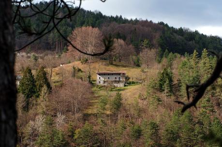 PASQUETTA A BORGO CROS : Anello del Rio Serai