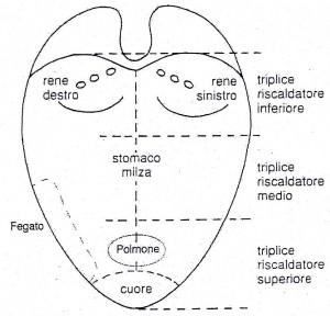 Lo stato di salute e la lingua.