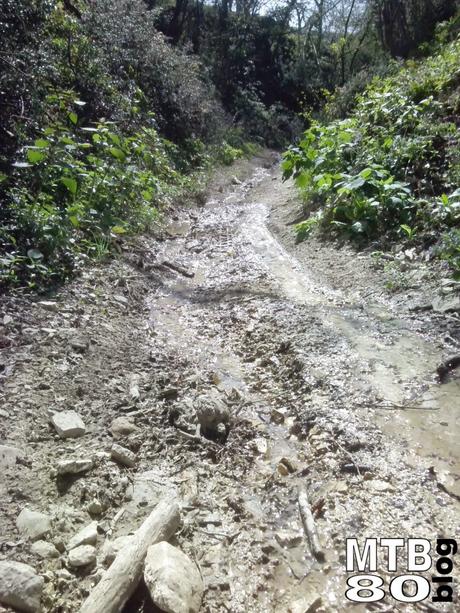 La Natura fa il suo corso...