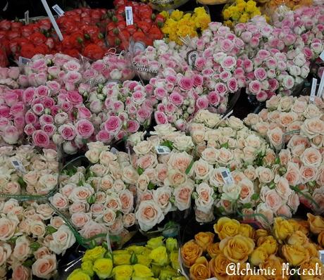 Parigi, il mercato dei fiori