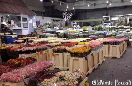 Parigi, il mercato dei fiori