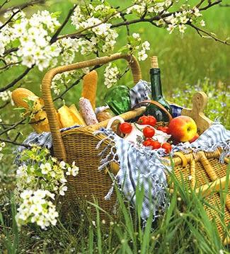 Arreda la primavera con Dalani